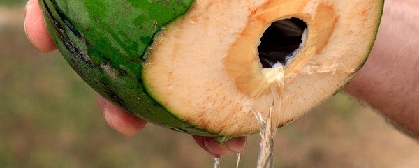 eau de coco naturelle