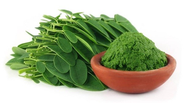 les bienfaits du moringa