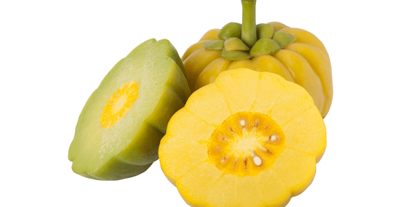 garcinia cambogia code promo