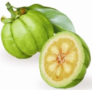 garcinia cambogia achat